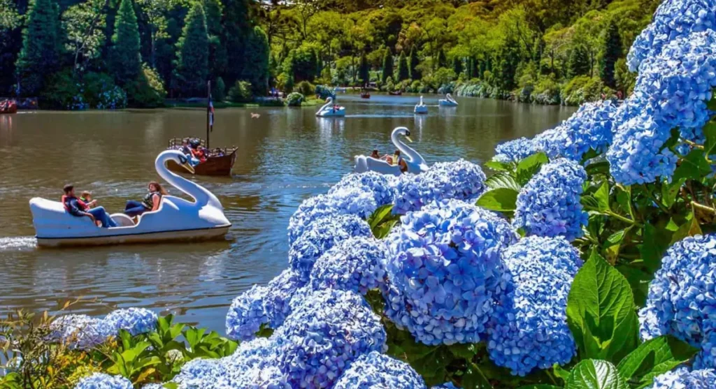 O Lago Negro combina natureza, flores e passeios de pedalinho em um dos cenários mais famosos de Gramado
