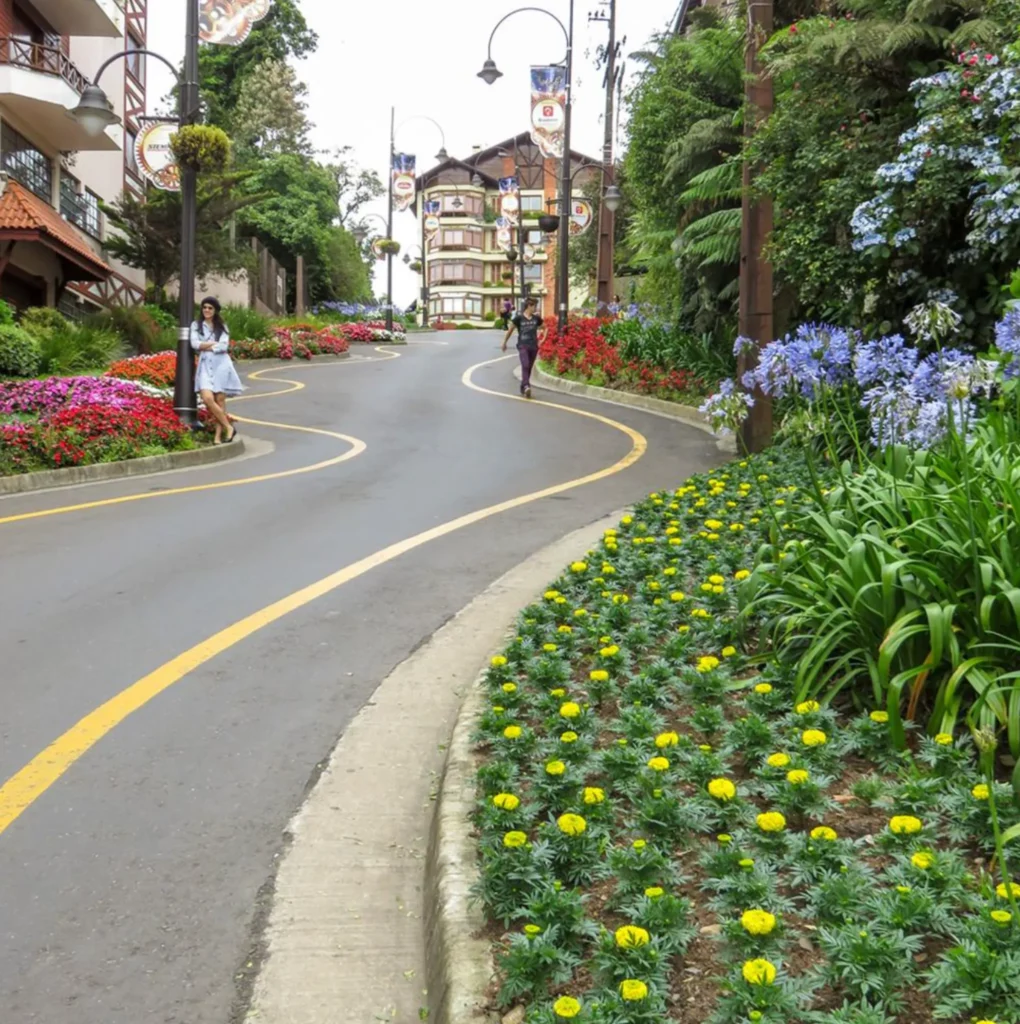 Rua Torta, em, Gramado