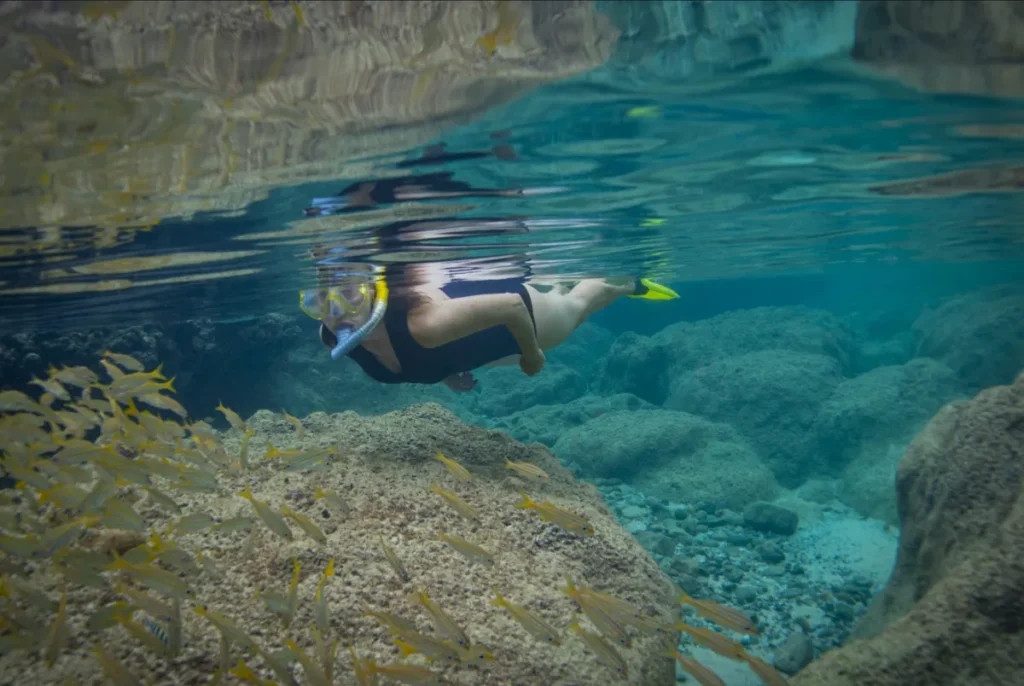 O snorkel permite observar peixes coloridos e a biodiversidade marinha da ilha.