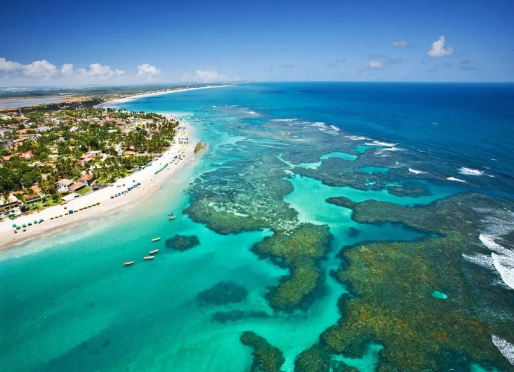 Coqueiral à beira-mar em Porto de Galinhas, Pernambuco, com extensa vegetação típica do litoral nordestino.