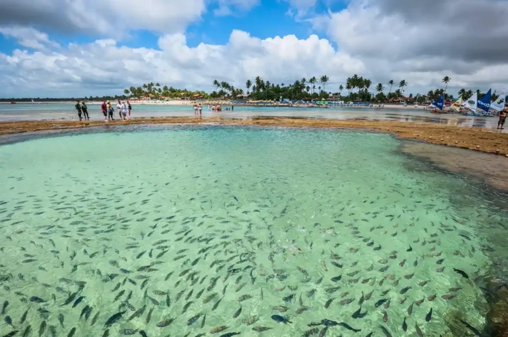 Porto de Galinhas com Maragogi