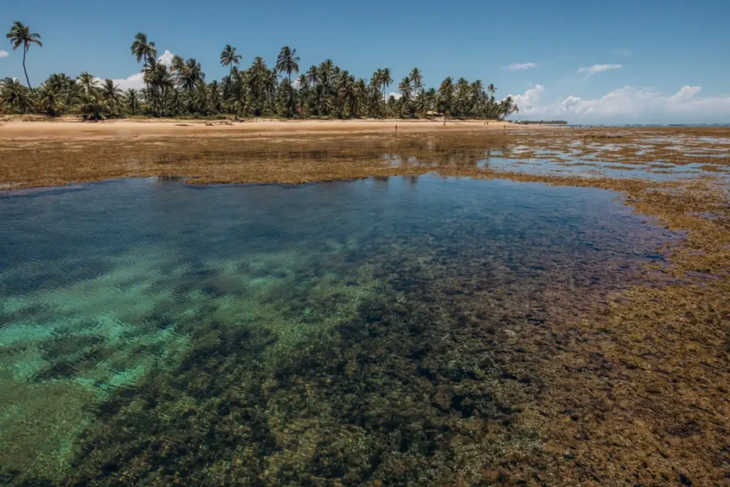 Piscinas naturais nos arredorees de Maragogi, Alagoas