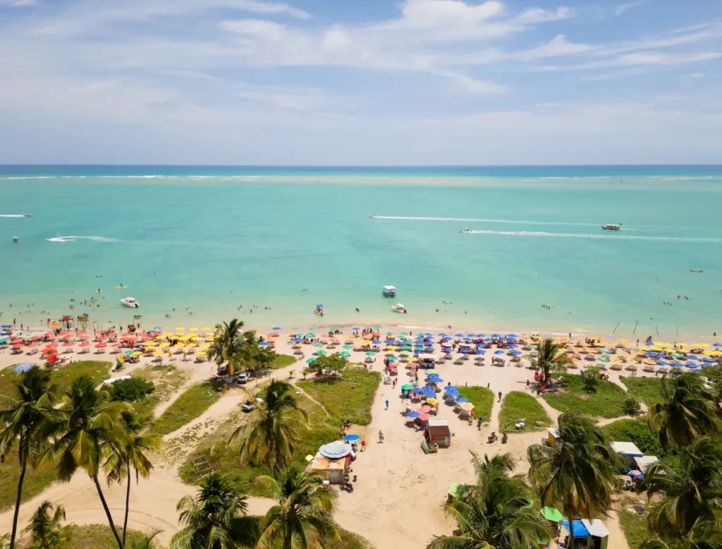 Piscinas naturais formadas entre recifes e coqueiros no litoral de Alagoas