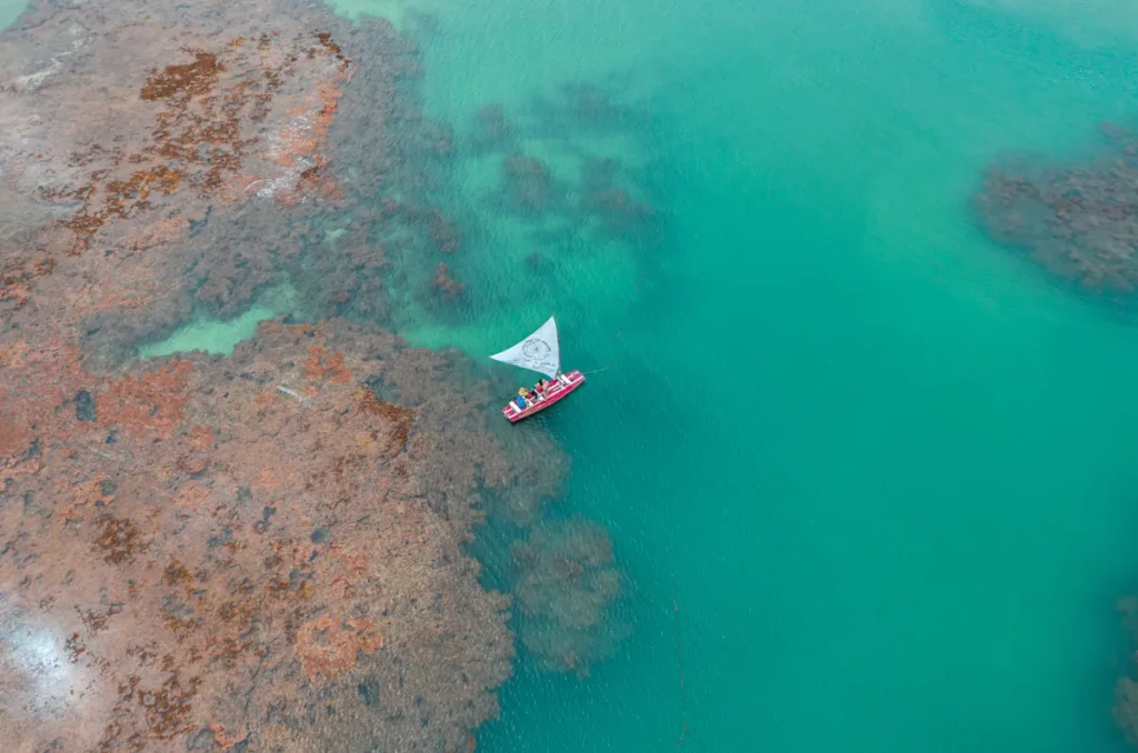 Vista aérea dos recifes e piscinas naturais durante a maré baixa em Maragogi