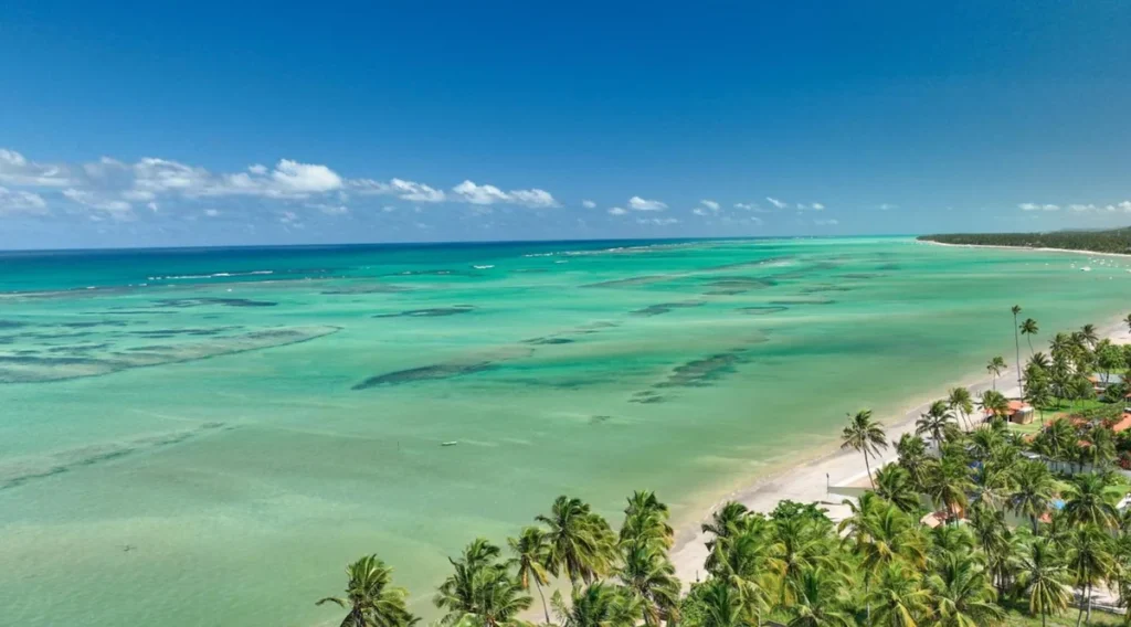 Praias ao redor de Maragogi tem mar cristalino e transparente.